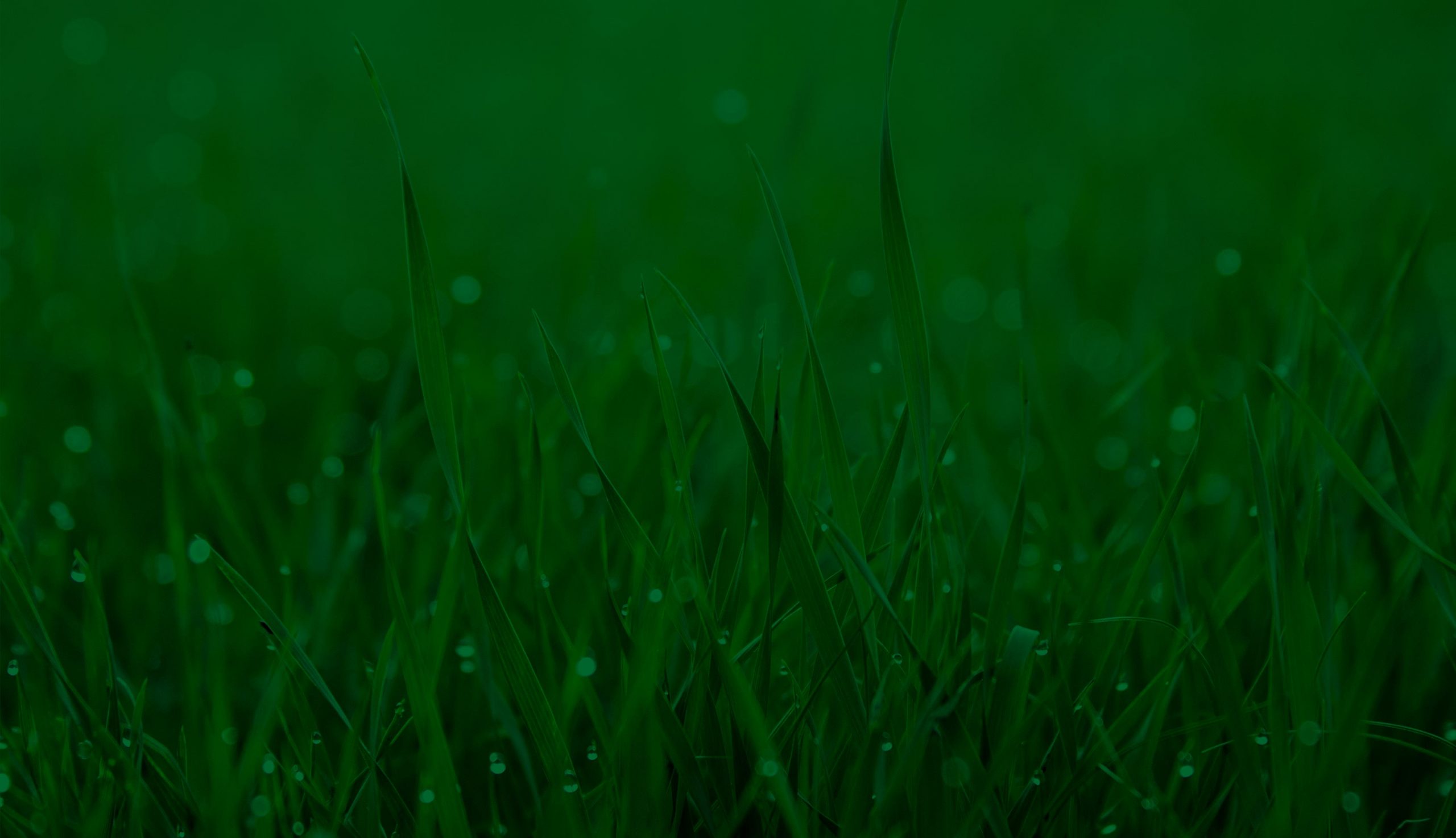 Lawn Care Services List Dallas